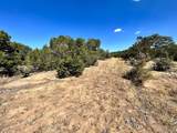  Lot 919 Los Vaqueros Circle - Photo 4