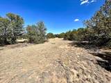  Lot 919 Los Vaqueros Circle - Photo 8