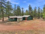 492 Trail Creek Road - Photo 38