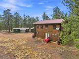 492 Trail Creek Road - Photo 39