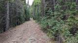 429 Sawmill Lane - Photo 31