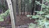 429 Sawmill Lane - Photo 35