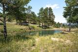 494 Thunder Road - Photo 44