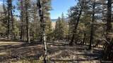 3132 Middle Fork Vista - Photo 12