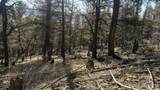 3132 Middle Fork Vista - Photo 13