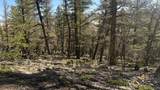 3132 Middle Fork Vista - Photo 14