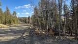 3132 Middle Fork Vista - Photo 3