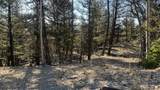 3132 Middle Fork Vista - Photo 5