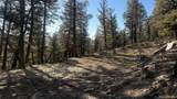3132 Middle Fork Vista - Photo 7