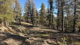 3132 Middle Fork Vista - Photo 8