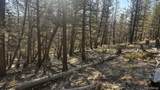 3132 Middle Fork Vista - Photo 10