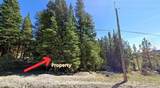 Lot 47 Silver Creek Road - Photo 2