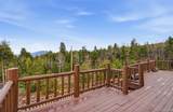 31551 Black Widow Drive - Photo 41