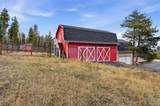 31551 Black Widow Drive - Photo 45