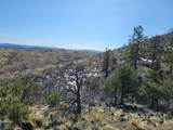  Vacant Land - Photo 1