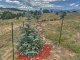 TBD Lot 21 Kiowa Road - Photo 6
