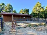20280 Indi Drive - Photo 4
