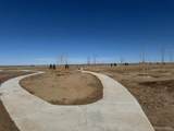 42998 Colonial Trail - Photo 15