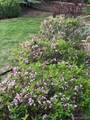 14090 Turnberry Court - Photo 39