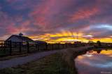 12175 Cherrywood Street - Photo 41