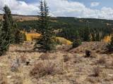 0 Snow Cap Peaks Road - Photo 11