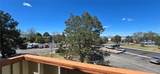 10211 Ura Lane - Photo 11