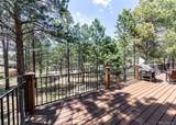 19670 Blue Clover Lane - Photo 48