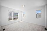 11957 Soprano Trail - Photo 14