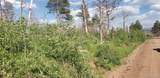 Lot 1406 Emery Loop - Photo 11