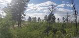 Lot 1406 Emery Loop - Photo 7