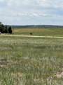 lot 83 Larimer Court - Photo 1