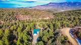 33280 Turkey Creek Lane - Photo 1