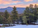 33280 Turkey Creek Lane - Photo 42