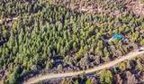 33280 Turkey Creek Lane - Photo 44