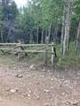 105.1 Forest Service Camp Rd - Photo 2