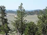 640 Arapaho Trail - Photo 9