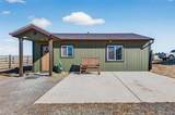 42812 Ricki Drive - Photo 23