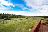 38879 Rusty Spur Trail - Photo 21
