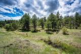 38879 Rusty Spur Trail - Photo 33