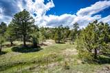 38879 Rusty Spur Trail - Photo 34