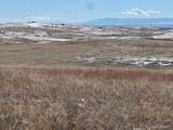  Tbd S. Blaney Road - Photo 19