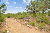 16988 County Road 363 - Photo 49