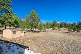 201 Terry Lane - Photo 15