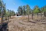 201 Terry Lane - Photo 45