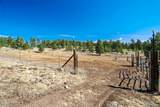 201 Terry Lane - Photo 46
