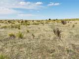  Lot 234 Turkey Ridge Ranch - Photo 11
