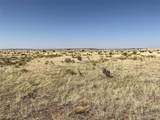  Lot 234 Turkey Ridge Ranch - Photo 12