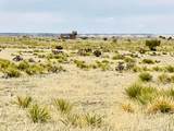  Lot 234 Turkey Ridge Ranch - Photo 13