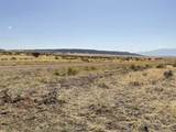 Lot 234 Turkey Ridge Ranch - Photo 17