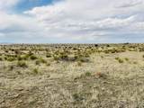  Lot 234 Turkey Ridge Ranch - Photo 7